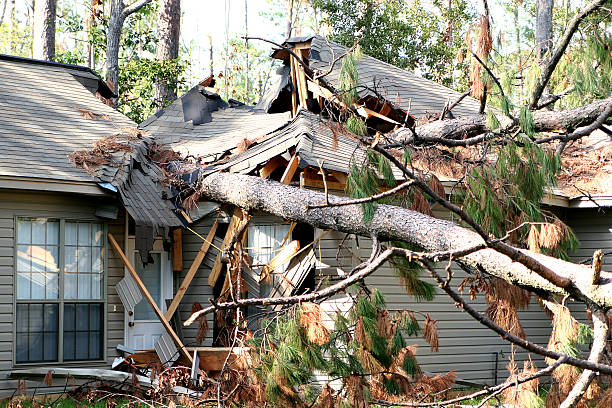 329,800+ Damaged House Stock Photos, Pictures & Royalty-Free Images -  iStock | Storm damaged house, Tornado damaged house, Fire damaged house